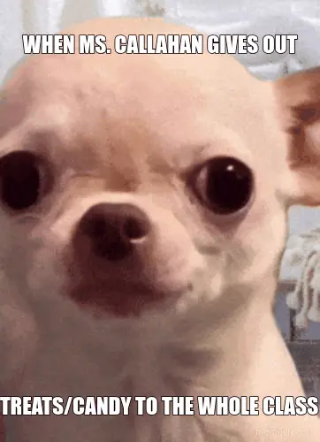 WHEN MS. CALLAHAN GIVES OUT - TREATS/CANDY TO THE WHOLE CLASS meme