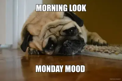 MORNING LOOK - MONDAY MOOD meme