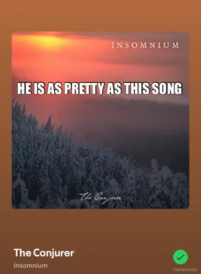 HE IS AS PRETTY AS THIS SONG meme