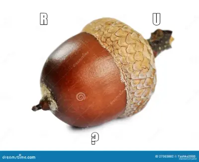 R - U - ? meme
