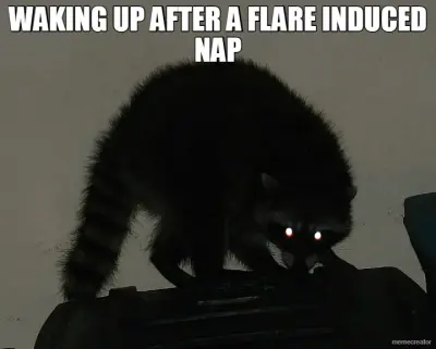 WAKING UP AFTER A FLARE INDUCED NAP meme
