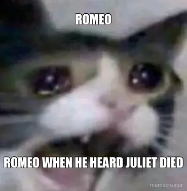 ROMEO - ROMEO WHEN HE HEARD JULIET DIED meme
