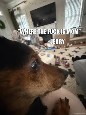 "WHERE THE FUCK IS MOM" - - JERRY meme