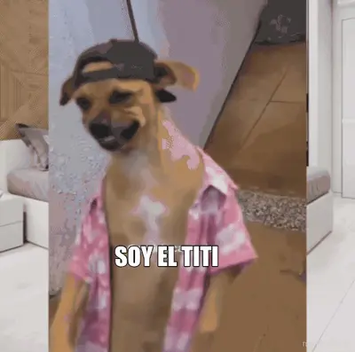 SOY EL TITI meme