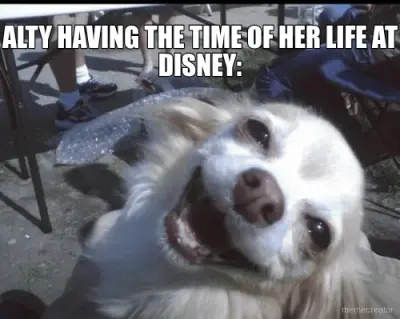 ALTY HAVING THE TIME OF HER LIFE AT DISNEY: meme