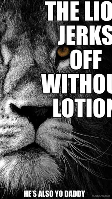 THE LION JERKS OFF WITHOUT LOTION - HE’S ALSO YO DADDY meme