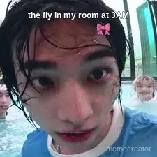 skz meme