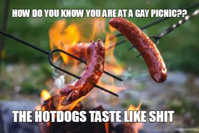 HOW DO YOU KNOW YOU ARE AT A GAY PICNIC?? - THE HOTDOGS TASTE LIKE SHIT meme
