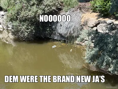 NOOOOOO - DEM WERE THE BRAND NEW JA’S meme