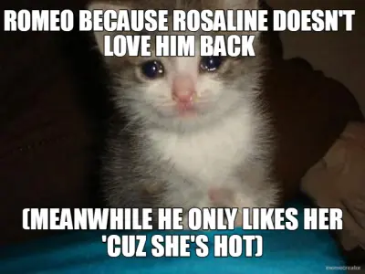 ROMEO BECAUSE ROSALINE DOESN'T LOVE HIM BACK - (MEANWHILE HE ONLY LIKES HER 'CUZ SHE'S HOT) meme