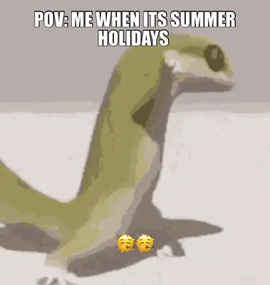 POV: ME WHEN ITS SUMMER HOLIDAYS  - 🥳🥳 meme