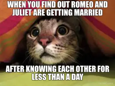 WHEN YOU FIND OUT ROMEO AND JULIET ARE GETTING MARRIED - AFTER KNOWING EACH OTHER FOR LESS THAN A DA meme