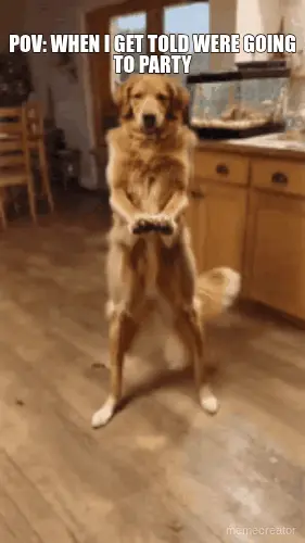POV: WHEN I GET TOLD WERE GOING TO PARTY meme