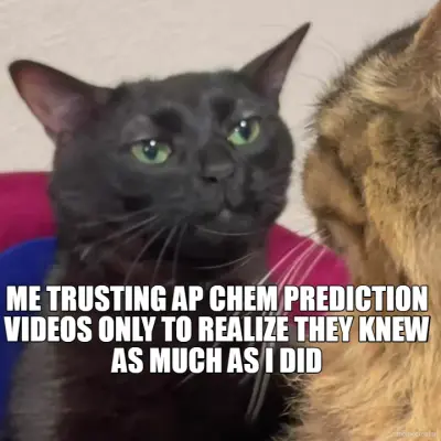 ME TRUSTING AP CHEM PREDICTION VIDEOS ONLY TO REALIZE THEY KNEW AS MUCH AS I DID meme