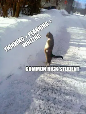 THINKING + PLANNING + WRITING - COMMON RICK STUDENT meme