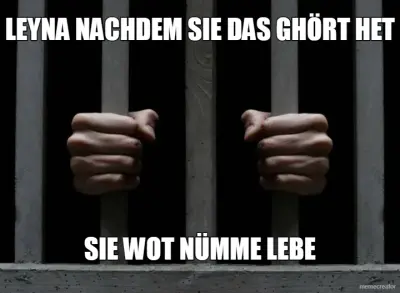 LEYNA NACHDEM SIE DAS GHÖRT HET - SIE WOT NÜMME LEBE meme
