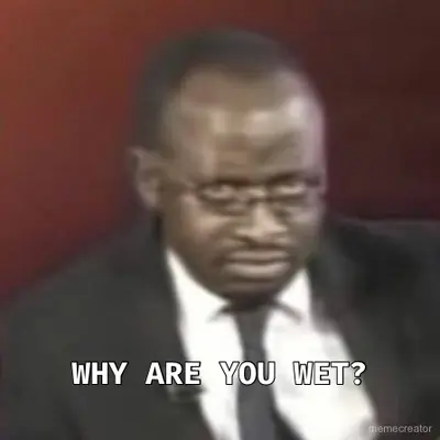 WHY ARE YOU WET? meme