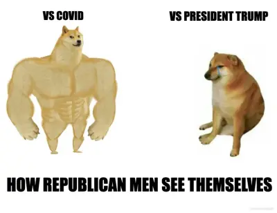 HOW REPUBLICAN MEN SEE THEMSELVES - VS COVID - VS PRESIDENT TRUMP meme