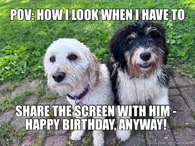 POV: HOW I LOOK WHEN I HAVE TO - SHARE THE SCREEN WITH HIM - HAPPY BIRTHDAY, ANYWAY! meme