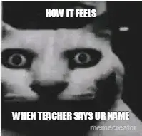 HOW IT FEELS - WHEN TEACHER SAYS UR NAME meme