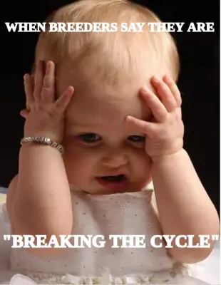 WHEN BREEDERS SAY THEY ARE — "BREAKING THE CYCLE" meme