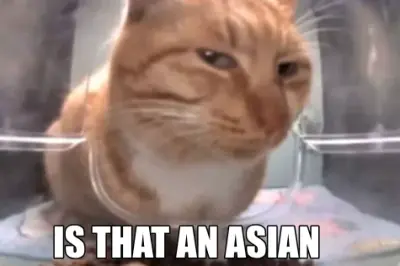 IS THAT AN ASIAN meme