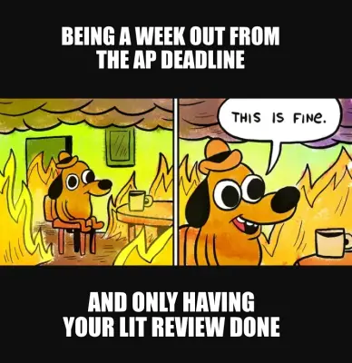 BEING A WEEK OUT FROM THE AP DEADLINE - AND ONLY HAVING YOUR LIT REVIEW DONE