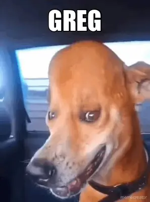 GREG meme