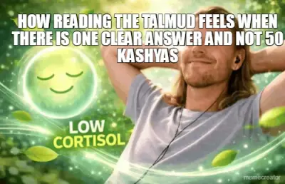 HOW READING THE TALMUD FEELS WHEN THERE IS ONE CLEAR ANSWER AND NOT 50 KASHYAS meme