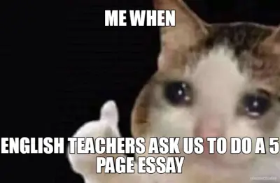 ME WHEN - ENGLISH TEACHERS ASK US TO DO A 5 PAGE ESSAY meme