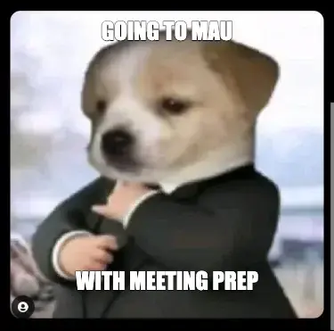 GOING TO MAU - WITH MEETING PREP