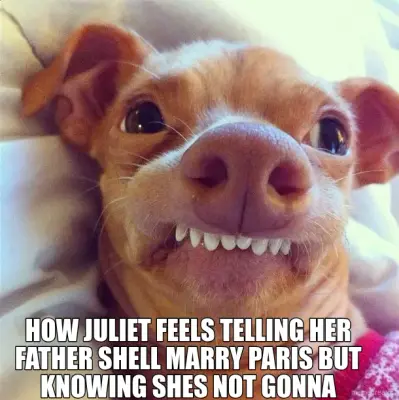 HOW JULIET FEELS TELLING HER FATHER SHELL MARRY PARIS BUT KNOWING SHES NOT GONNA meme