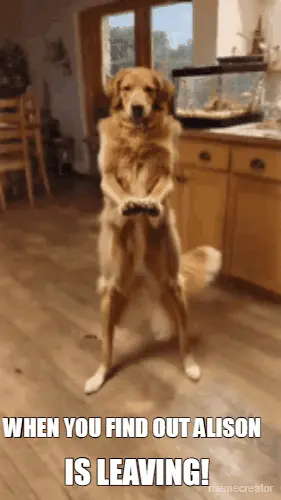 WHEN YOU FIND OUT ALISON  - IS LEAVING! meme