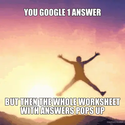 YOU GOOGLE 1 ANSWER - BUT THEN THE WHOLE WORKSHEET WITH ANSWERS POPS UP meme