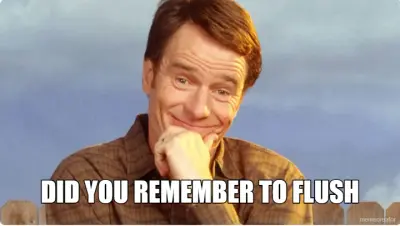 DID YOU REMEMBER TO FLUSH meme