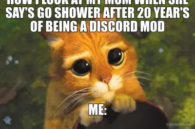 HOW I LOOK AT MY MOM WHEN SHE SAY'S GO SHOWER AFTER 20 YEAR'S OF BEING A DISCORD MOD - ME: meme