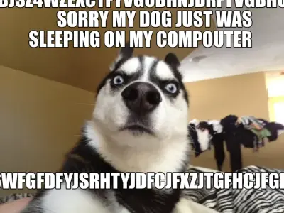 HGRDRHMDNHFGMJDKKFGVXYSRDCTGVHBJEZXRCFYGVHBJZTWWSXDF GHBJSZ4WZEXCTFYVGUBHNJDRFTVGBHUNJ         SORRY meme
