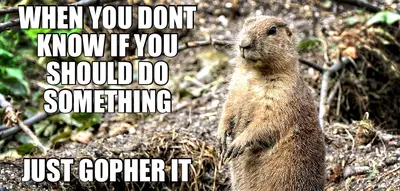 WHEN YOU DONT KNOW IF YOU SHOULD DO SOMETHING - JUST GOPHER IT meme