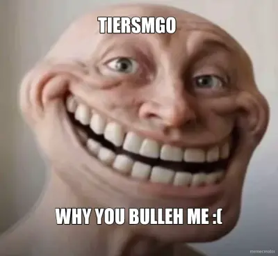 TIERSMGO - WHY YOU BULLEH ME :( meme