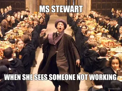 MS STEWART - WHEN SHE SEES SOMEONE NOT WORKING meme