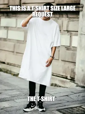 THIS IS A T-SHIRT SIZE LARGE REQUEST meme