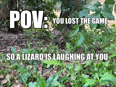 POV:  - YOU LOST THE GAME - SO A LIZARD IS LAUGHING AT YOU meme
