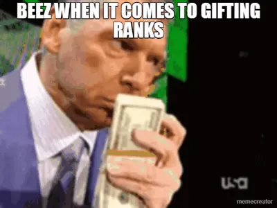 BEEZ WHEN IT COMES TO GIFTING RANKS meme