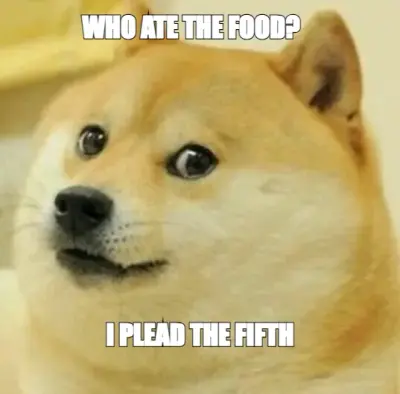 WHO ATE THE FOOD? — I PLEAD THE FIFTH meme