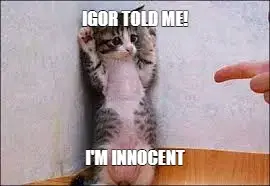 IGOR TOLD ME! — I'M INNOCENT meme