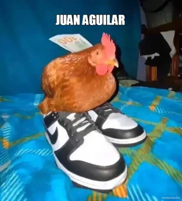 JUAN AGUILAR meme