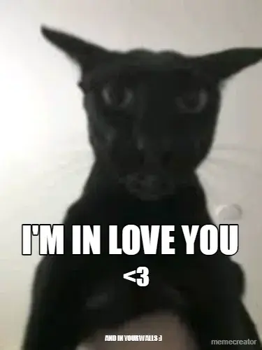 I'M IN LOVE YOU - <3 - AND IN YOUR WALLS :) meme