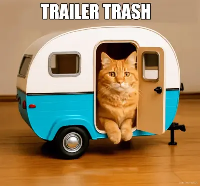 Cat trailer meme