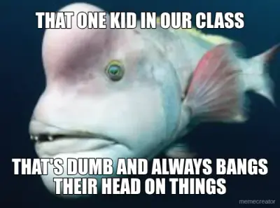 THAT ONE KID IN OUR CLASS - THAT'S DUMB AND ALWAYS BANGS THEIR HEAD ON THINGS meme