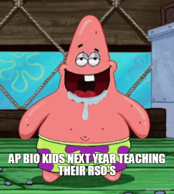 AP BIO KIDS NEXT YEAR TEACHING THEIR RSO'S meme